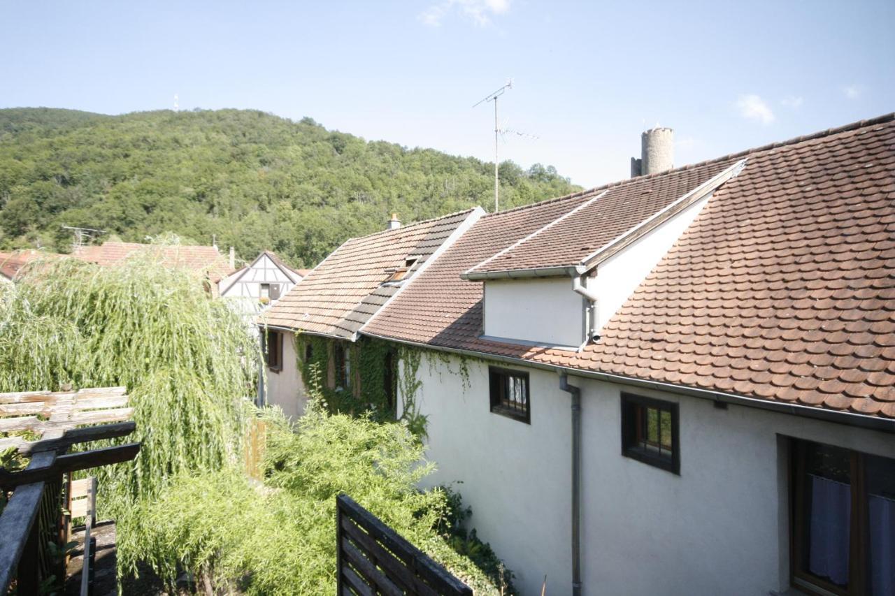 Ferienwohnung Le Keiler Kaysersberg-Vignoble Exterior foto
