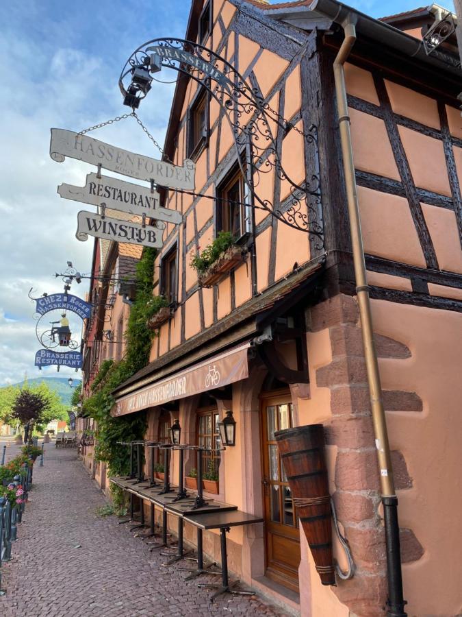 Ferienwohnung Le Keiler Kaysersberg-Vignoble Exterior foto